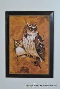 Richard Screech Vintage Owl Print Wall Decor Hanging  