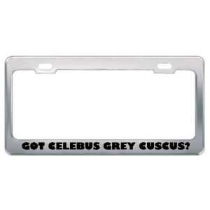 Got Celebus Grey Cuscus? Animals Pets Metal License Plate Frame Holder 