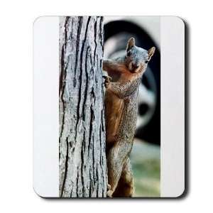 Squirrel Cute Mousepad by 