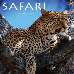  Safari 2012 Wall Calendar