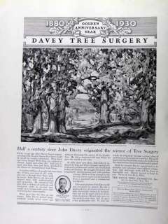 1930 John Davey tree surgery Frank Swift Chase art AD  