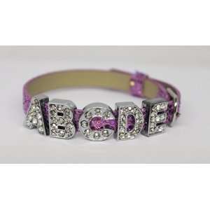   Bracelet Covered in Rhinestone Letters for Pets Arts, Crafts & Sewing