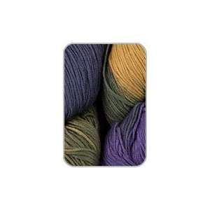  Araucania   Ruca Multi Knitting Yarn   Yellow Green Purple 