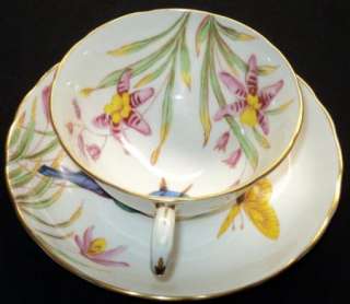 Tuscan PAINTED ROBIN Ultimate BIRD simplytclub cup and saucer  