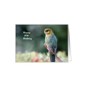    Birthday 40th   Age, Bird, Western Rosella, Card Toys & Games