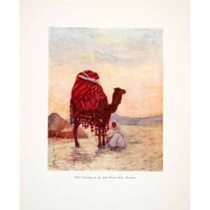  1905 Color Print Palanquin Bash Aga Biskra Algeria 