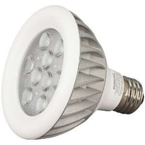  12 Watt PAR30 Dimmable LED Light Bulb