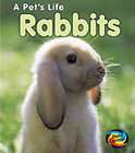 live pet rabbits  
