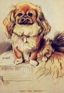 Pekingese   MATTED Dog Print   Lucy Dawson NEW  