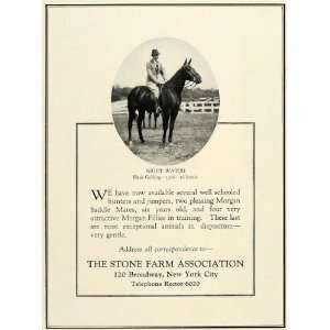  1930 Ad Morgan Saddle Mares Hunter Jumper Horse Breeders 