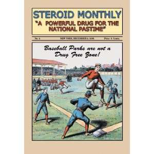  Steroid Monthly 20x30 poster