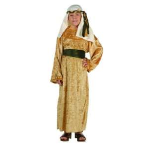  Gold Wiseman Child Biblical Christmas Deluxe Costume 
