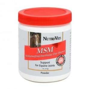  Equine Joint Support Supplement   MSM Formula helps maintain joint 