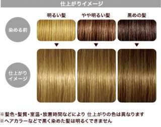 LUCIDO L Japan Jewelry Bubble Hair Color Dye Kit 2011  
