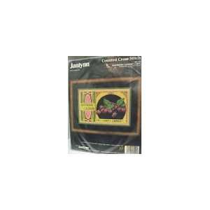  Janlynn Counted Cross Stitch KIT #81 24 RASPBERRY CANNERY 