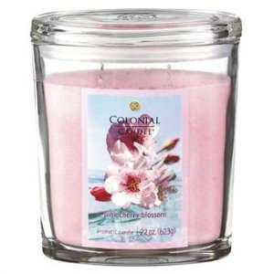  Pink Cherry Blossom 22oz Scented Candles (Set of 2)