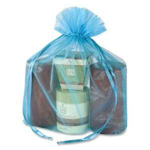  12 x 14 Turquoise Organza Fabric Bags Health & Personal 