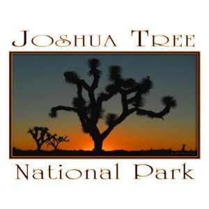 Joshua Tree 2 National Park Fridge Magnet 