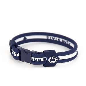  Eagles Wings Penn State Nittany Lions 8.5 Inch Titanium 