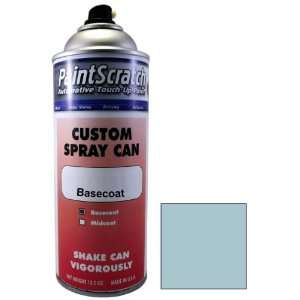   Touch Up Paint for 1979 Jeep All Models (color code 9E) and Clearcoat