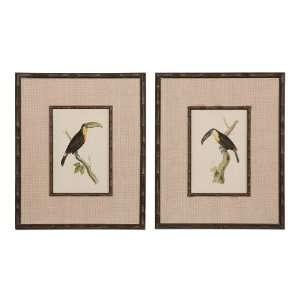  Uttermost 19.9 Inch Toucan I Ii (Set of 2) Decorative Oil 