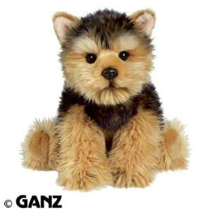  Webkinz Signature Short Haired Yorkie with Trading Cards 