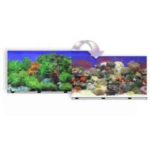   Coral Reef/fw Garden (Catalog Category Aquarium / Backgrounds) Pet