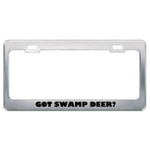 Got Swamp Deer? Animals Pets Metal License Plate Frame Holder Border 