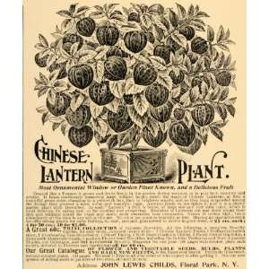  1897 Ad Chinese Lantern Plant Garden John Lewis Childs 