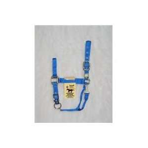  HALTER ADJ. CHIN W/SNAP, Color BLUE; Size SMALL (Catalog 