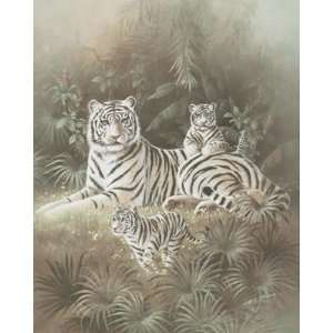 White Tigers Poster Print 