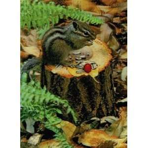  3D Lenticular SQUIRREL   POST CARD