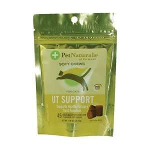   Naturals of Vermont Urinary Tract Support for Cats Soft Chews   45 Ea