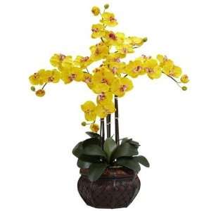   Phalaenopsis w/Decorative Vase Silk Flower Arrangement