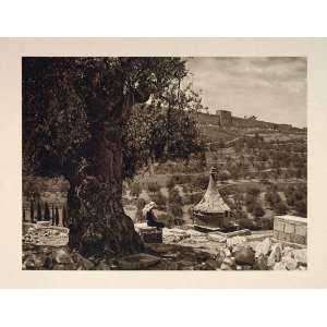  1926 City Wall Jerusalem Architecture Mount of Olives 