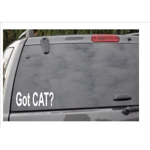  GOT CAT?  window decal 