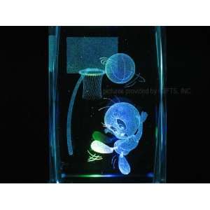  Tweety Bird Playing Basketball 3D Laser Etched Crystal 