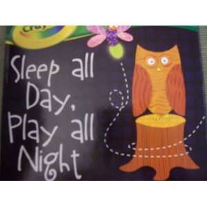   Book ~ Sleep All Day, Play All Night (An Opposites Book) Toys & Games