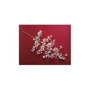   Pre Lit 36 White Berry Branch Sprays With Clear Lights