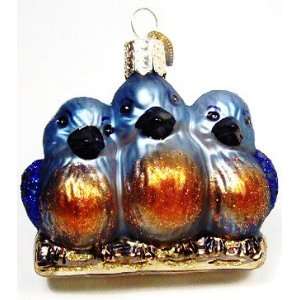  Old World Christmas Ornament Feathered Friends Bluebird 