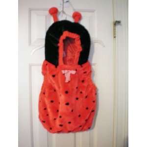  Childrens Halloween or School Play Costume    Ladybug 