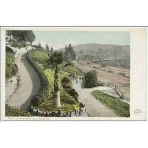  Reprint Elysian Park, Los Angeles, Calif 1903 1904