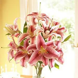  Organic Bouquet Lilies, Stargazer, 10 Stem, 1 ea Patio 