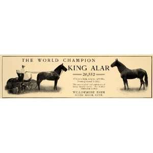  1906 Ad Cheval World Champion Horse Willowmere Farm Sound 