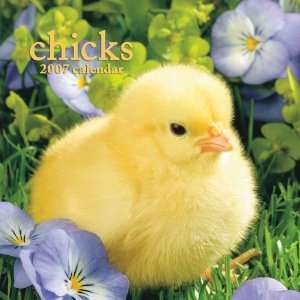  Chicks 2007 Mini Calendar (9781421604480) Browntrout 