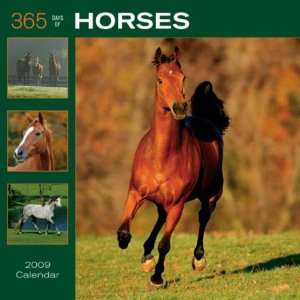  Horses 365 Days 2009 Square Wall Calendar (9781421638430 