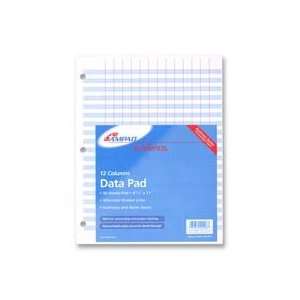  Punched Data Pads 12 Columns 8 1/2 x 11 White (AMP22203 