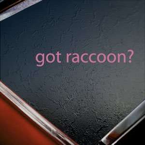  Got Raccoon? Pink Decal Pet Animal Domesticated Car Pink 