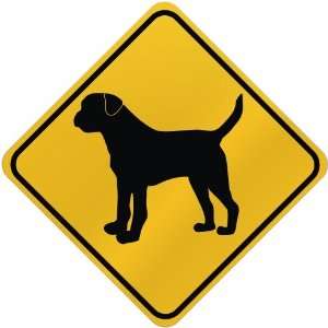  ONLY  BORDER TERRIER  CROSSING SIGN DOG