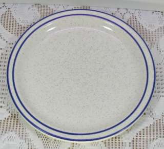 Buffalo China Restaurant Ware Blue Band 9 Dinner Plate Speckled 11 